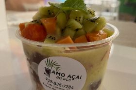 mouse: (pineapple, banana, mango, coconut milk, agave) fruits: papaya, kiwi, granola